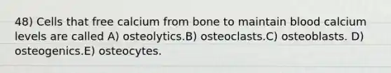 48) Cells that free calcium from bone to maintain blood calcium levels are called A) osteolytics.B) osteoclasts.C) osteoblasts. D) osteogenics.E) osteocytes.