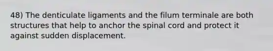 48) The denticulate ligaments and the filum terminale are both structures that help to anchor <a href='https://www.questionai.com/knowledge/kkAfzcJHuZ-the-spinal-cord' class='anchor-knowledge'>the spinal cord</a> and protect it against sudden displacement.