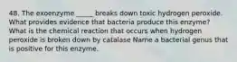 48. The exoenzyme _____ breaks down toxic hydrogen peroxide. What provides evidence that bacteria produce this enzyme? What is the chemical reaction that occurs when hydrogen peroxide is broken down by catalase Name a bacterial genus that is positive for this enzyme.