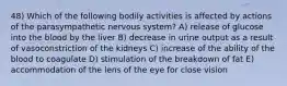 48) Which of the following bodily activities is affected by actions of the parasympathetic nervous system? A) release of glucose into the blood by the liver B) decrease in urine output as a result of vasoconstriction of the kidneys C) increase of the ability of the blood to coagulate D) stimulation of the breakdown of fat E) accommodation of the lens of the eye for close vision