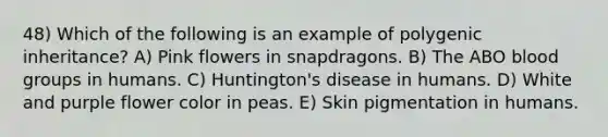 48) Which of the following is an example of polygenic inheritance? A) Pink flowers in snapdragons. B) The ABO blood groups in humans. C) Huntington's disease in humans. D) White and purple flower color in peas. E) Skin pigmentation in humans.