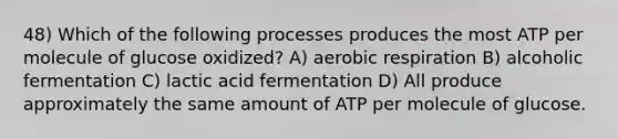 48) Which of the following processes produces the most ATP per molecule of glucose oxidized? A) aerobic respiration B) alcoholic fermentation C) lactic acid fermentation D) All produce approximately the same amount of ATP per molecule of glucose.