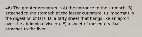 48) The greater omentum is A) the entrance to the stomach. B) attached to the stomach at the lesser curvature. C) important in the digestion of fats. D) a fatty sheet that hangs like an apron over the abdominal viscera. E) a sheet of mesentery that attaches to the liver.