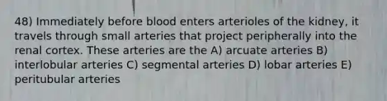 48) Immediately before blood enters arterioles of the kidney, it travels through small arteries that project peripherally into the renal cortex. These arteries are the A) arcuate arteries B) interlobular arteries C) segmental arteries D) lobar arteries E) peritubular arteries