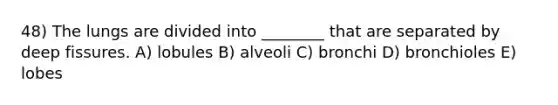 48) The lungs are divided into ________ that are separated by deep fissures. A) lobules B) alveoli C) bronchi D) bronchioles E) lobes