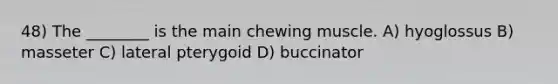 48) The ________ is the main chewing muscle. A) hyoglossus B) masseter C) lateral pterygoid D) buccinator