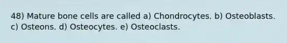 48) Mature bone cells are called a) Chondrocytes. b) Osteoblasts. c) Osteons. d) Osteocytes. e) Osteoclasts.