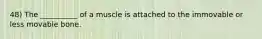 48) The __________ of a muscle is attached to the immovable or less movable bone.