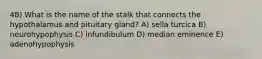 48) What is the name of the stalk that connects the hypothalamus and pituitary gland? A) sella turcica B) neurohypophysis C) infundibulum D) median eminence E) adenohypophysis