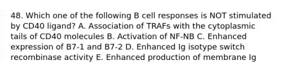 48. Which one of the following B cell responses is NOT stimulated by CD40 ligand? A. Association of TRAFs with the cytoplasmic tails of CD40 molecules B. Activation of NF‐NB C. Enhanced expression of B7‐1 and B7‐2 D. Enhanced Ig isotype switch recombinase activity E. Enhanced production of membrane Ig