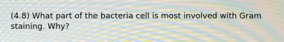 (4.8) What part of the bacteria cell is most involved with Gram staining. Why?