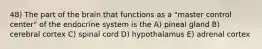 48) The part of the brain that functions as a "master control center" of the endocrine system is the A) pineal gland B) cerebral cortex C) spinal cord D) hypothalamus E) adrenal cortex