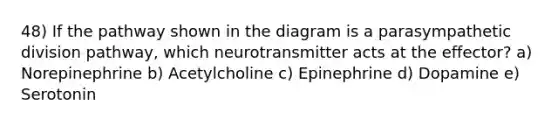 48) If the pathway shown in the diagram is a parasympathetic division pathway, which neurotransmitter acts at the effector? a) Norepinephrine b) Acetylcholine c) Epinephrine d) Dopamine e) Serotonin