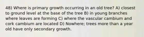 48) Where is primary growth occurring in an old tree? A) closest to ground level at the base of the tree B) in young branches where leaves are forming C) where the vascular cambium and cork cambium are located D) Nowhere; trees more than a year old have only secondary growth.