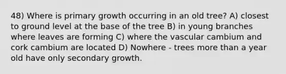 48) Where is primary growth occurring in an old tree? A) closest to ground level at the base of the tree B) in young branches where leaves are forming C) where the vascular cambium and cork cambium are located D) Nowhere - trees more than a year old have only secondary growth.