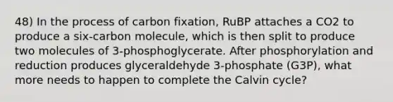 48) In the process of carbon fixation, RuBP attaches a CO2 to produce a six-carbon molecule, which is then split to produce two molecules of 3-phosphoglycerate. After phosphorylation and reduction produces glyceraldehyde 3-phosphate (G3P), what more needs to happen to complete the Calvin cycle?