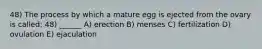 48) The process by which a mature egg is ejected from the ovary is called: 48) ______ A) erection B) menses C) fertilization D) ovulation E) ejaculation