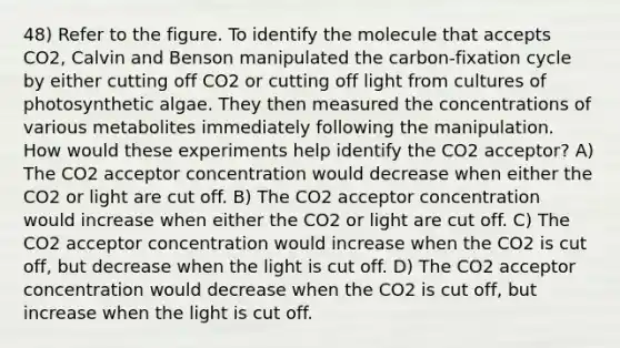 48) Refer to the figure. To identify the molecule that accepts CO2, Calvin and Benson manipulated the carbon-fixation cycle by either cutting off CO2 or cutting off light from cultures of photosynthetic algae. They then measured the concentrations of various metabolites immediately following the manipulation. How would these experiments help identify the CO2 acceptor? A) The CO2 acceptor concentration would decrease when either the CO2 or light are cut off. B) The CO2 acceptor concentration would increase when either the CO2 or light are cut off. C) The CO2 acceptor concentration would increase when the CO2 is cut off, but decrease when the light is cut off. D) The CO2 acceptor concentration would decrease when the CO2 is cut off, but increase when the light is cut off.