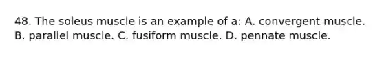 48. The soleus muscle is an example of a: A. convergent muscle. B. parallel muscle. C. fusiform muscle. D. pennate muscle.