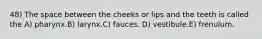 48) The space between the cheeks or lips and the teeth is called the A) pharynx.B) larynx.C) fauces. D) vestibule.E) frenulum.