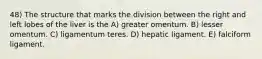 48) The structure that marks the division between the right and left lobes of the liver is the A) greater omentum. B) lesser omentum. C) ligamentum teres. D) hepatic ligament. E) falciform ligament.