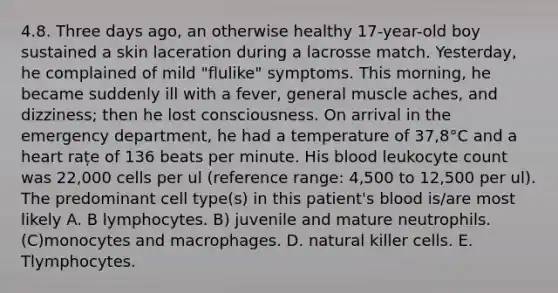 4.8. Three days ago, an otherwise healthy 17-year-old boy sustained a skin laceration during a lacrosse match. Yesterday, he complained of mild "flulike" symptoms. This morning, he became suddenly ill with a fever, general muscle aches, and dizziness; then he lost consciousness. On arrival in the emergency department, he had a temperature of 37,8°C and a heart rațe of 136 beats per minute. His blood leukocyte count was 22,000 cells per ul (reference range: 4,500 to 12,500 per ul). The predominant cell type(s) in this patient's blood is/are most likely A. B lymphocytes. B) juvenile and mature neutrophils. (C)monocytes and macrophages. D. natural killer cells. E. Tlymphocytes.