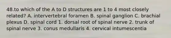 48.to which of the A to D structures are 1 to 4 most closely related? A. intervertebral foramen B. spinal ganglion C. brachial plexus D. spinal cord 1. dorsal root of spinal nerve 2. trunk of spinal nerve 3. conus medullaris 4. cervical intumescentia