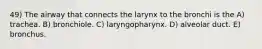 49) The airway that connects the larynx to the bronchi is the A) trachea. B) bronchiole. C) laryngopharynx. D) alveolar duct. E) bronchus.