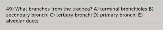 49) What branches from the trachea? A) terminal bronchioles B) secondary bronchi C) tertiary bronchi D) primary bronchi E) alveolar ducts