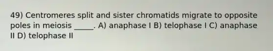 49) Centromeres split and sister chromatids migrate to opposite poles in meiosis _____. A) anaphase I B) telophase I C) anaphase II D) telophase II