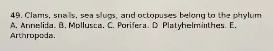 49. Clams, snails, sea slugs, and octopuses belong to the phylum A. Annelida. B. Mollusca. C. Porifera. D. Platyhelminthes. E. Arthropoda.