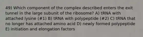 49) Which component of the complex described enters the exit tunnel in the large subunit of the ribosome? A) tRNA with attached lysine (#1) B) tRNA with polypeptide (#2) C) tRNA that no longer has attached amino acid D) newly formed polypeptide E) initiation and elongation factors