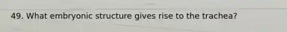 49. What embryonic structure gives rise to the trachea?