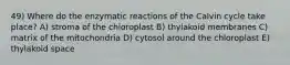 49) Where do the enzymatic reactions of the Calvin cycle take place? A) stroma of the chloroplast B) thylakoid membranes C) matrix of the mitochondria D) cytosol around the chloroplast E) thylakoid space