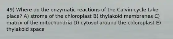 49) Where do the enzymatic reactions of the Calvin cycle take place? A) stroma of the chloroplast B) thylakoid membranes C) matrix of the mitochondria D) cytosol around the chloroplast E) thylakoid space