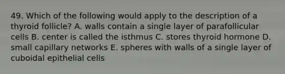 49. Which of the following would apply to the description of a thyroid follicle? A. walls contain a single layer of parafollicular cells B. center is called the isthmus C. stores thyroid hormone D. small capillary networks E. spheres with walls of a single layer of cuboidal epithelial cells