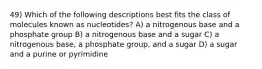 49) Which of the following descriptions best fits the class of molecules known as nucleotides? A) a nitrogenous base and a phosphate group B) a nitrogenous base and a sugar C) a nitrogenous base, a phosphate group, and a sugar D) a sugar and a purine or pyrimidine