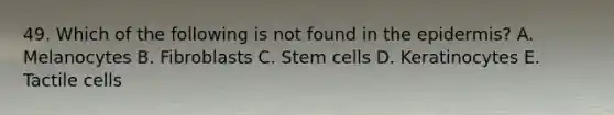 49. Which of the following is not found in the epidermis? A. Melanocytes B. Fibroblasts C. Stem cells D. Keratinocytes E. Tactile cells