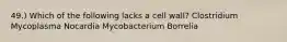 49.) Which of the following lacks a cell wall? Clostridium Mycoplasma Nocardia Mycobacterium Borrelia