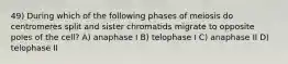 49) During which of the following phases of meiosis do centromeres split and sister chromatids migrate to opposite poles of the cell? A) anaphase I B) telophase I C) anaphase II D) telophase II