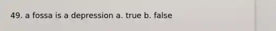 49. a fossa is a depression a. true b. false