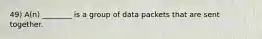 49) A(n) ________ is a group of data packets that are sent together.