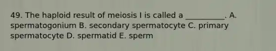 49. The haploid result of meiosis I is called a __________. A. spermatogonium B. secondary spermatocyte C. primary spermatocyte D. spermatid E. sperm