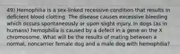 49) Hemophilia is a sex-linked recessive condition that results in deficient blood clotting. The disease causes excessive bleeding which occurs spontaneously or upon slight injury. In dogs (as in humans) hemophilia is caused by a defect in a gene on the X chromosome. What will be the results of mating between a normal, noncarrier female dog and a male dog with hemophilia?