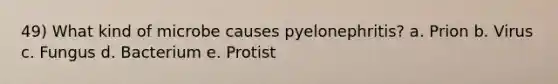 49) What kind of microbe causes pyelonephritis? a. Prion b. Virus c. Fungus d. Bacterium e. Protist