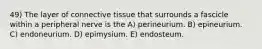 49) The layer of connective tissue that surrounds a fascicle within a peripheral nerve is the A) perineurium. B) epineurium. C) endoneurium. D) epimysium. E) endosteum.