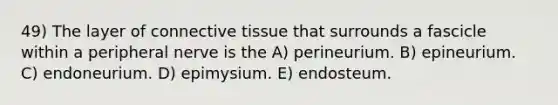 49) The layer of <a href='https://www.questionai.com/knowledge/kYDr0DHyc8-connective-tissue' class='anchor-knowledge'>connective tissue</a> that surrounds a fascicle within a peripheral nerve is the A) perineurium. B) epineurium. C) endoneurium. D) epimysium. E) endosteum.