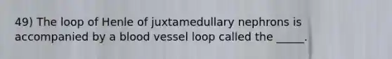 49) The loop of Henle of juxtamedullary nephrons is accompanied by a blood vessel loop called the _____.