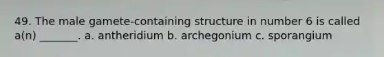 49. The male gamete-containing structure in number 6 is called a(n) _______. a. antheridium b. archegonium c. sporangium