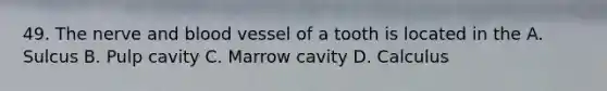 49. The nerve and blood vessel of a tooth is located in the A. Sulcus B. Pulp cavity C. Marrow cavity D. Calculus